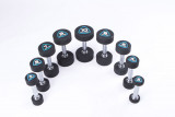 Гантели в уретане LIVEPRO Studio Dumbbells 4 кг, черный/синий