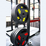 Диск обрезиненный 10 кг черно-зеленый AeroFit AFPLC