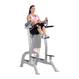 Поднятие коленей / Брусья Hoist CF-3252 Black