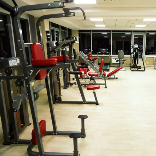 Подтягивание / отжимание с помощью (гравитрон) AeroFIT IF8120 / IF9320 Подтягивание / отжимание с помощью (гравитрон) AeroFIT IF8120 / IF9320