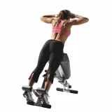 Hoist HF-4263 Скамья для спины и пресса (черная)