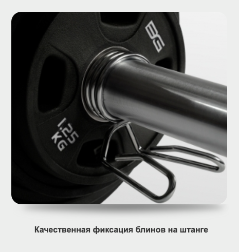 Замки пружинные, 50 мм (2шт.) BRONZE GYM BGCLSP43